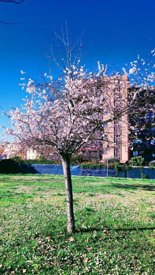 Bologna Vista Parco Apartment 2 Letti Matrimoniali Екстериор снимка